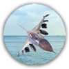 F-16 Air Striker