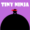 Tiny Ninja无法打开