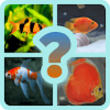 GUESS THE AQUARIUM FISH?官方版免费下载