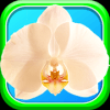 Orchid Bloom Surf: Colorful Free Match 3 Gem-2018