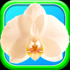 Orchid Bloom Surf: Colorful Free Match 3 Gem-2018占内存小吗