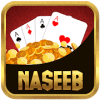 Naseeb Indiaiphone版下载