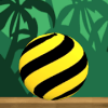 Tiger Hoop 3D Ball :TingerBall版本更新