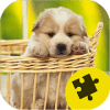 Puppy Dogs Jigsaw Puzzles