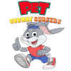 Pet Rabbit Subway Runner