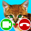 fake call video cat game最新版下载