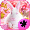 Rabbits Jigsaw Puzzles