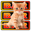 Vegas Kitten Slots (Free)