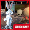 Looney Bunny : Toons Jungle Dash Adventure