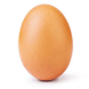 World Record Egg官方下载