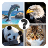 Animals quiz: The best trivia quiz games绿色版下载