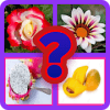 Guess the Picture Quiz Mind Game free 2019安卓版下载