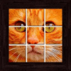 Cats Puzzles - 101 pictures怎么安装