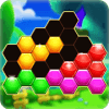 Hexagon 2019- Hexa Block Puzzle