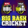 Big Bash Cricket绿色版下载