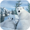 Polar Bear Family Survival