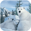 Polar Bear Family Survival安卓版下载