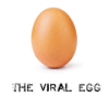 The viral egg无法打开