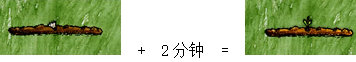 一小時人生乳草怎么獲取 乳草獲取方法一覽