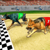 Real Dog Racing Tournament官方版免费下载