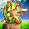 Watermelon Shooter 3D