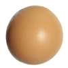 Record Egg