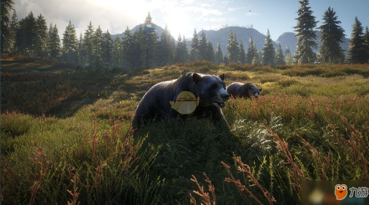 《猎人：荒野的呼唤》给熊拍照任务完成指南