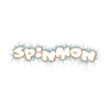 SpinMon版本更新