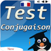 test conjugaison ofline在哪下载