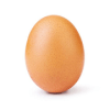 Incredible Egg