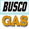 Busco GAS版本更新
