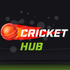 Cricket Hub