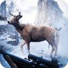 Deer Hunter Safari - Wild Animal Hunting官方下载