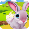 BUNNY RUN SURVIVAL中文版下载