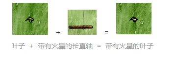 《一小時人生》生火所需工具和流程介紹