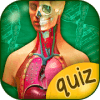 The Human Anatomy Quiz App On Human Body Organs