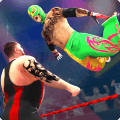 Wrestling Titans - Free Wrestling Games无法打开