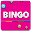 Mecca of Bingo Games!中文版下载