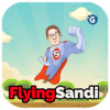 Flying Sandi - Arcade Game玩不了怎么办