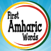 First Amharic Words玩不了怎么办