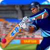 Cricket Batting Challenge