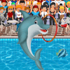 Dolphin Show in Aquarium Free玩不了怎么办