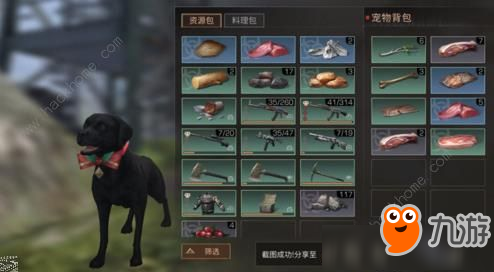 《明日之后》搜寻犬不去搜寻捡物品怎么办