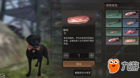 《明日之后》搜寻犬不去搜寻捡物品怎么办