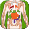 Human Body Anatomy Quiz占内存小吗