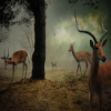 Animals Deer Hunter 2019官方版免费下载