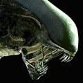 Alien Blackout费流量吗