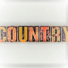 Search Country Name官方下载