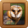 Birds - Sliding Image Puzzle怎么下载到手机