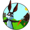 Farm Bunny